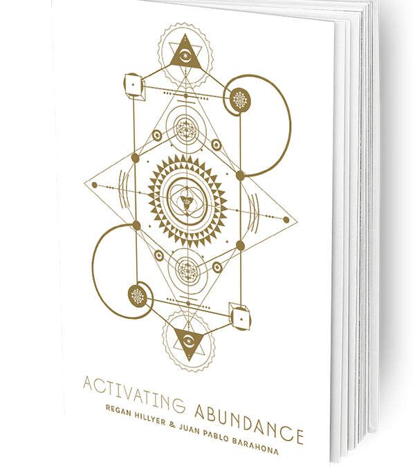 The Activating Abundance Book
